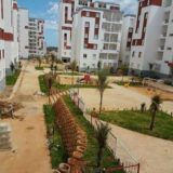 Cezayir Alger