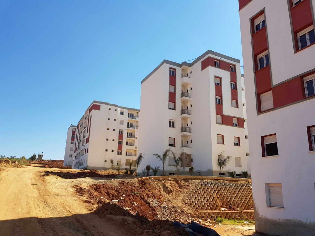 Cezayir Alger